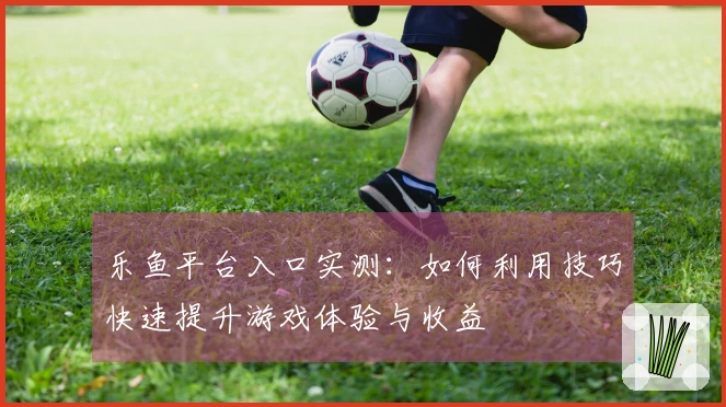 乐鱼平台入口实测：如何利用技巧快速提升游戏体验与收益