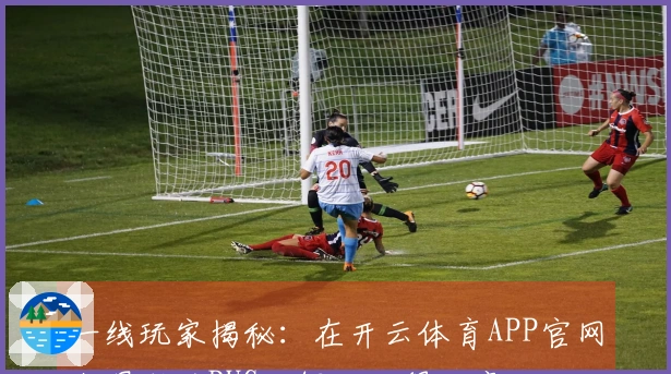 一线玩家揭秘：在开云体育APP官网上遇到的BUG及解决心得分享