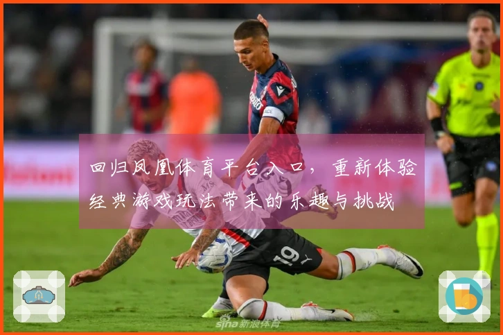 回归凤凰体育平台入口，重新体验经典游戏玩法带来的乐趣与挑战